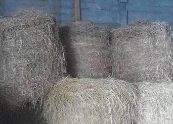 Sprzedam siano I słomę z sezon 2025