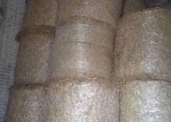 Słoma w belach pszenżytnia