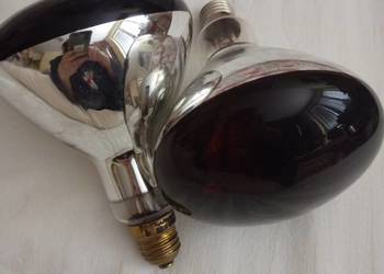 żarówka na podczerwień 250 W, kwoka, E27, cena za 2 sztuki
