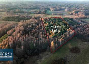 Działka 3,03 ha Skrobaczów gm. Stopnica