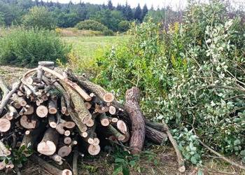 koszenie, wycinka drzew, karczowanie, rębak