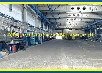 Hala do wynajęcia Katowice, 2 bramy dla TIR, plac, biura, socjal