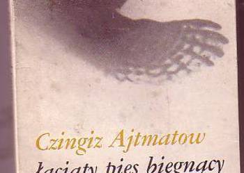 (8186)  ŁACIATY  PIES  BIEGNĄCY BRZEGIEM  MORZA – CZINGIZ AJ