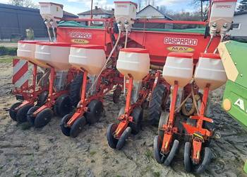 siewnik talerzowy do kukurydzy gaspardo 2016rok