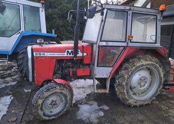 Sprzedam bądź zamienię Massey Ferguson 254s
