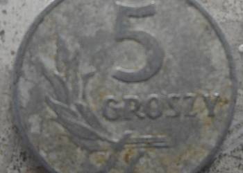 POLSKA-5 GROSZY-1962 r (b.z.)-AL-