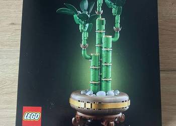 LEGO Botanical Collection 10344 - Dracena sandera nowy!