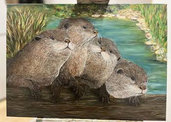 Obraz olejny „Wydry” – oryginał, 50 × 70 cm