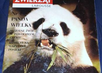 Świat dzikich zwierząt. Larousse. Nr 4 - Panda wielka