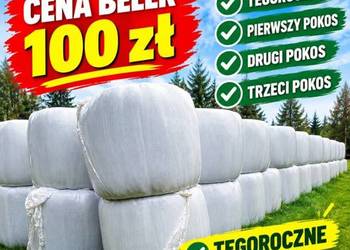 Sprzedam belki możliwa zamiana na cielaki