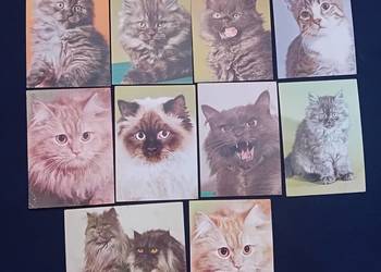 Zestaw 10 pocztówek z kotami, KAW, 1976 r.