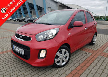 Kia Picanto 1,2 Benzyna Nawigacja Kamera Klimatronik Zarejestrowany Gwaran…
