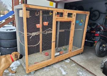 Swiergotki # woliera#  6szt  3parki