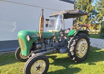 Ciągnik rolniczy Ursus C-328 rok 1963