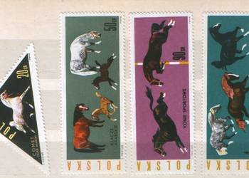 Zn. Fi 1299, 302, 4, 7 ** 1963