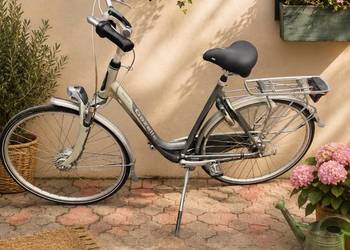 rower Gazelle Saphir .model gold line