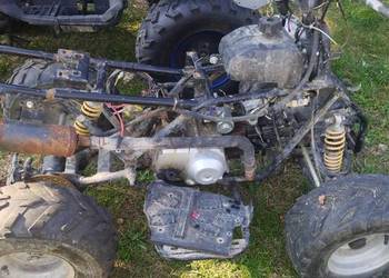 Quad 110 i 200 Bashan