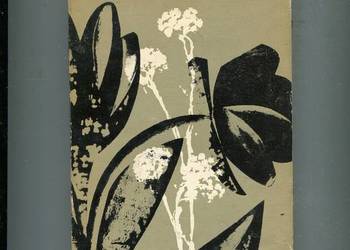 U słonych źródeł - Nikos Chadzinikollau