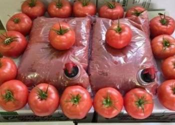 SOK POMIDOROWY 3L NATURALNY