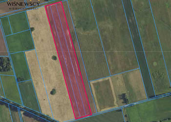 Grunty rolne 4,65 ha – Dobry, gm. Godkowo