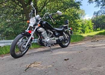 Honley Dante ( Yamaha Virago 250)
