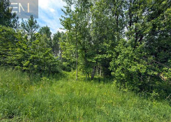 Oferta sprzedaży gruntu 4600m2 Szufnarowa