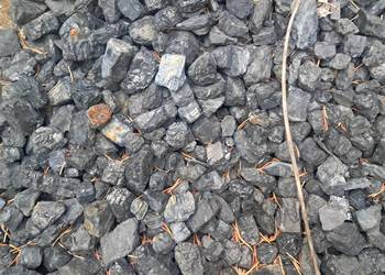 Węgiel ekogroszek orzech workowany / pellet