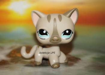 LPS Littlest Pet Shop shorthair #1206 oryginalny kotek oryginał pop