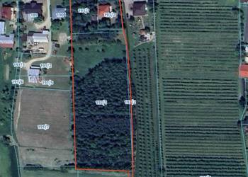 Nieruchomość pow. 1,37ha. Świdnik gm.Łukowica