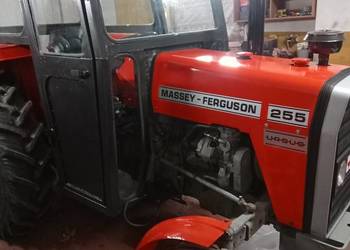 Ursus MF 255 jak 3512