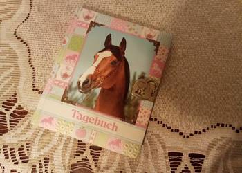 Pamiętnik z kłódką koń