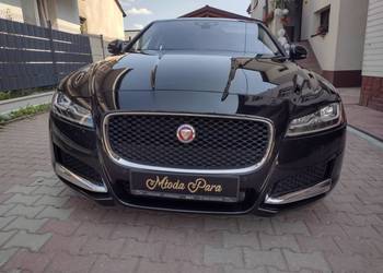 Jaguar xf x260 full led kompletny przód ryj