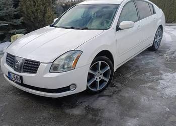 Nissan Maxima b+g
