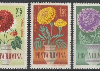 RUMUNIA - KWIATY W DONICZKACH - 1965 - CZYSTE **