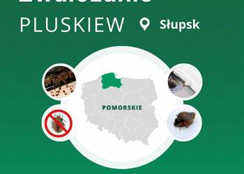 Zwalczanie pluskiew Słupsk - Odpluskwianie, Dezynsekcja