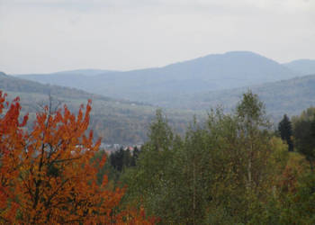 syndyk sprzeda udziały w działkach w Ciścu