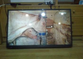 Telewizor ledoey manta 40cali