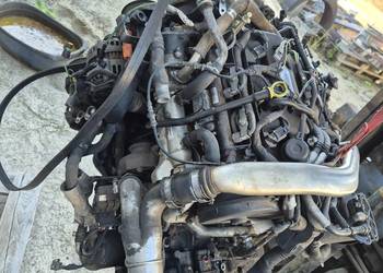 Silnik na części Peugeot 607 2.7 Silnik na części Peugeot 607 2.7