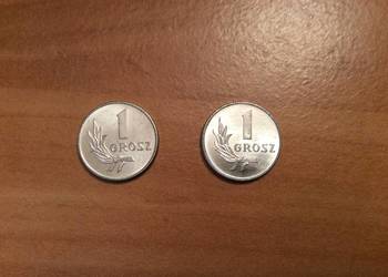 Moneta 1 gr. Z 1949r.mennicza