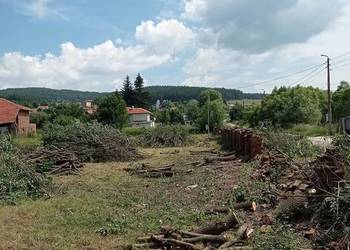 Wycinka drzew, frezowanie pni, karczowanie działek