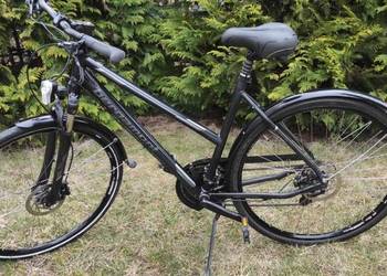 Bergamont /Koła 28 / Alivio / Hydraulika / Prądnica / Po serwisie