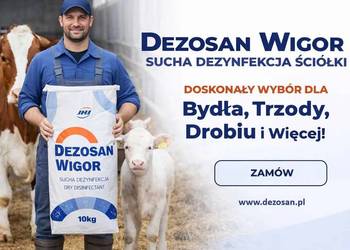 Dezosan 1000kg – Skuteczna sucha dezynfekcja ściółki + Dostawa GRATIS!