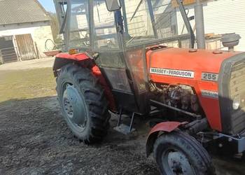 Ursus 3512 MF 255  1990r z oryginalnym pługiem maszt widly