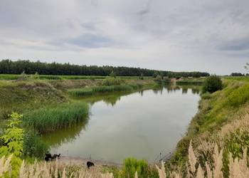 staw rybny jezioro działka