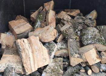 Czereśnia do wędzenia