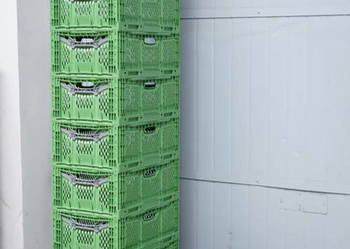 Sprzedam składane plastikowe skrzynki