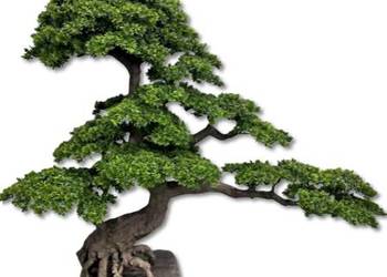 Sztuczne drzewko Bonsai Premium 210x80x160