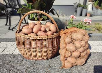 Ziemniaki od Rolnika