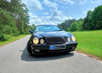 Mercedes w208 clk230