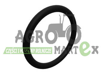 R27166 ORING JD